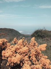 Come chat hiking with me!