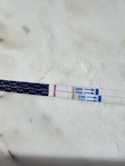 A line eye enthusiast #3