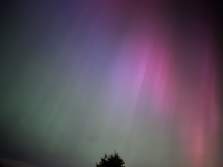 Anyone watching for Northern Lights tonight?