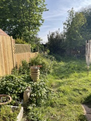What have you done in the garden today Part 4 Spring 2024.
