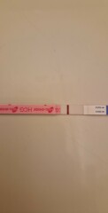 FET - day 8 Lines