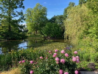 Come and tell me your dull and unexciting news 30: Calmly through the day