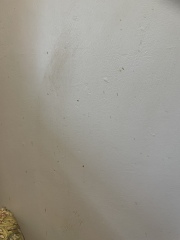 To not payer cleaner