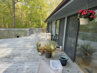 Come and tell me your dull and unexciting news 29: Calmly through the day