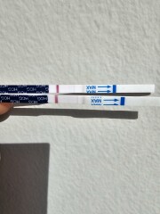 A line eye enthusiast #3