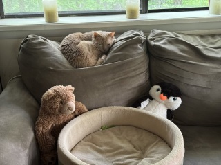 Come and tell me your dull and unexciting news 29: Calmly through the day