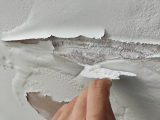 Help please - is this damp or something else??