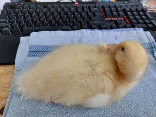 Ukraine Invasion: Part 48