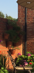 Wall planting ideas