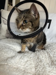 The cone of doom isn’t working!