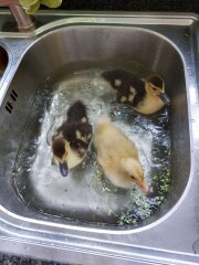 Ukraine Invasion: Part 48