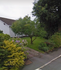 Anyone know how to prune a (very!) established lilac 'tree'? With pics