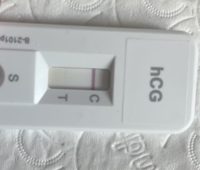 What do you think? 9DPO FMU