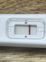 Anyone want to join for two week wait?