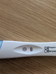Evap/faulty tests?