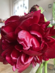 Thread 13 - TalkLair: “I say we take off and nuke the entire site from orbit. It's the only way to be sure.”