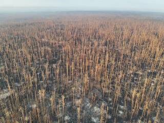 Ukraine Invasion: Part 49