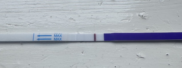 Anyone want to join for two week wait?