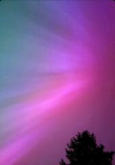 Did you see The Northern Lights (uk) any pictures?