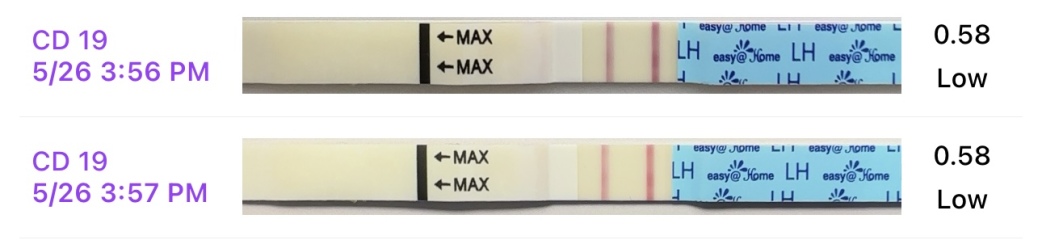 TTC after chemical pregnancy