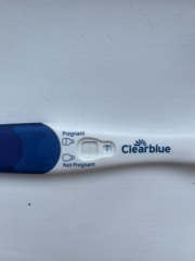 Clear blue test. Evap line or positive