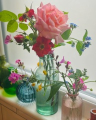 Wild flowers
