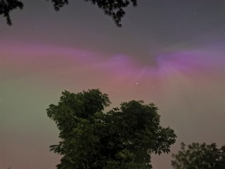 Anyone watching for Northern Lights tonight?
