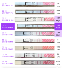 TTC June 2024 ✨♥️