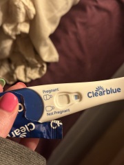 Clear blue test. Evap line or positive
