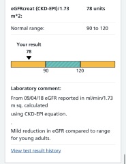 Can someone help me understand these blood results