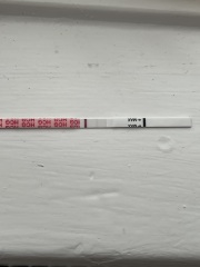 IVF/ICSI May or late April (Part 2)