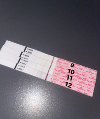 Pregnancy after loss support