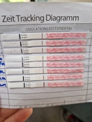 Line progression and beta HCG increase