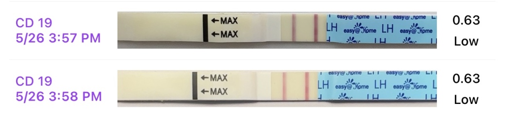 TTC after chemical pregnancy