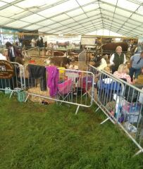 Thread 13 - TalkLair: “I say we take off and nuke the entire site from orbit. It's the only way to be sure.”