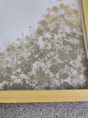 Help please - is this damp or something else??