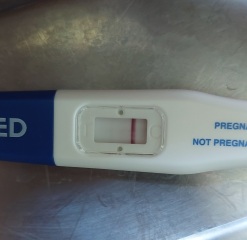 7dpo and keeping busy!