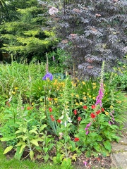 What's in flower in your garden right now?