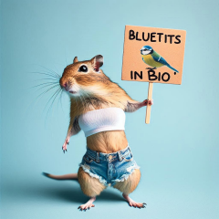 Aston University + gerbil merch thread