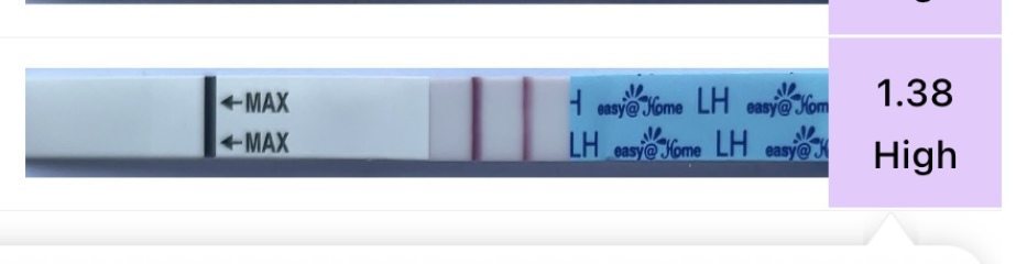 TTC after chemical pregnancy