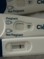 Anyone want to join for two week wait?