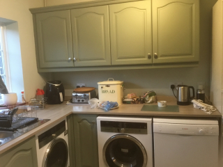 Does anyone regret having their kitchen cabinets painted?