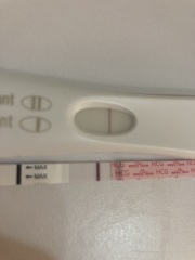 7dpo and keeping busy!