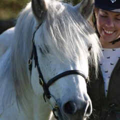 Any Highland Pony people on here?