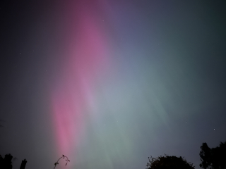 Anyone watching for Northern Lights tonight?