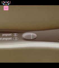 Vvvf Bfp or evap??