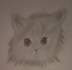 This isn't an average 8 year olds drawing is it??
