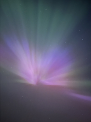 Anyone staying up to try and glimpse the Aurora Borealis?