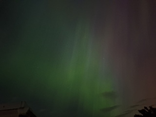 Autistic women assemble! #3