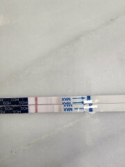 Tests and betas progression.